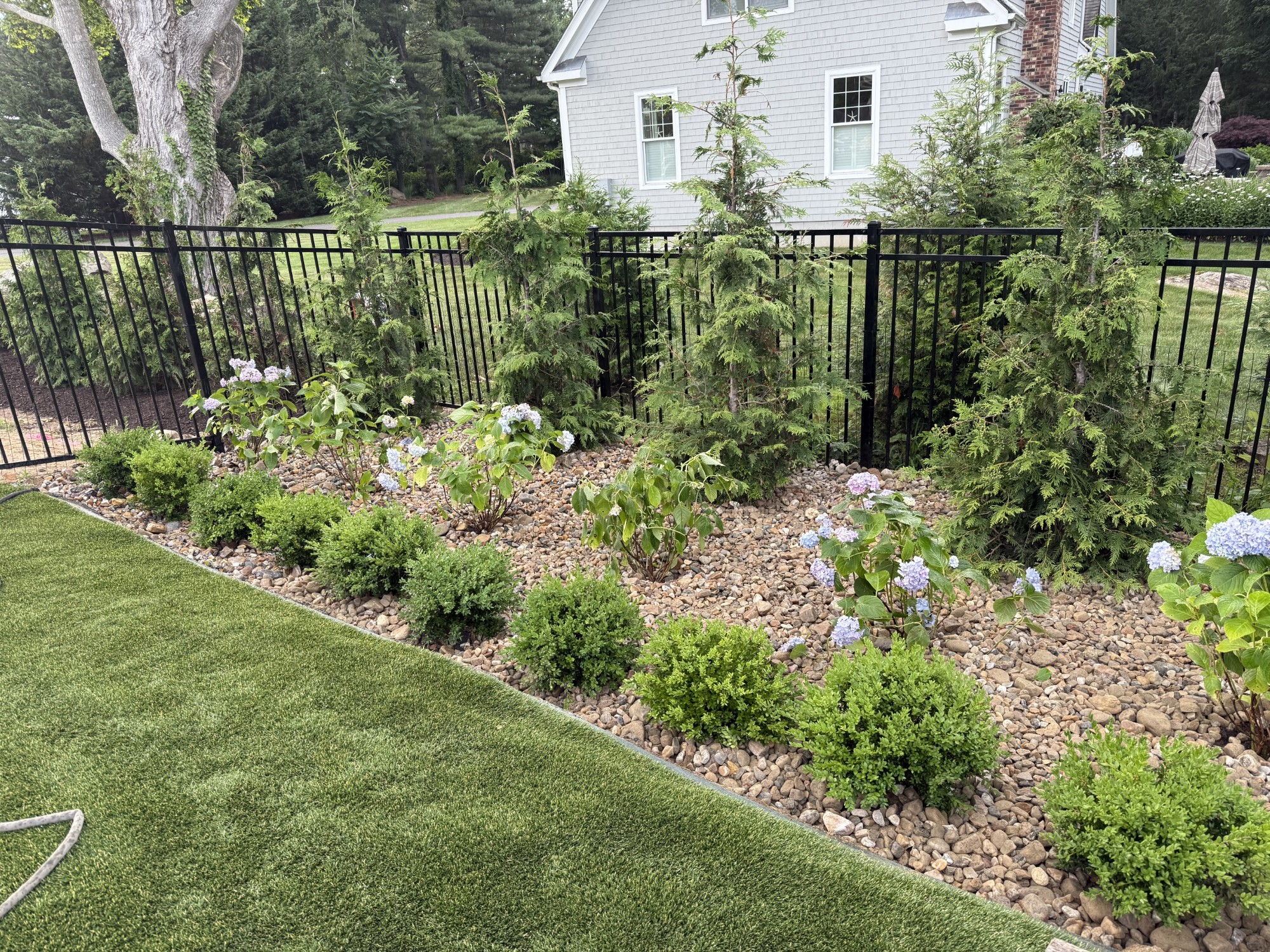 Garden bed with flowering shrubs and decorative stone along a fence