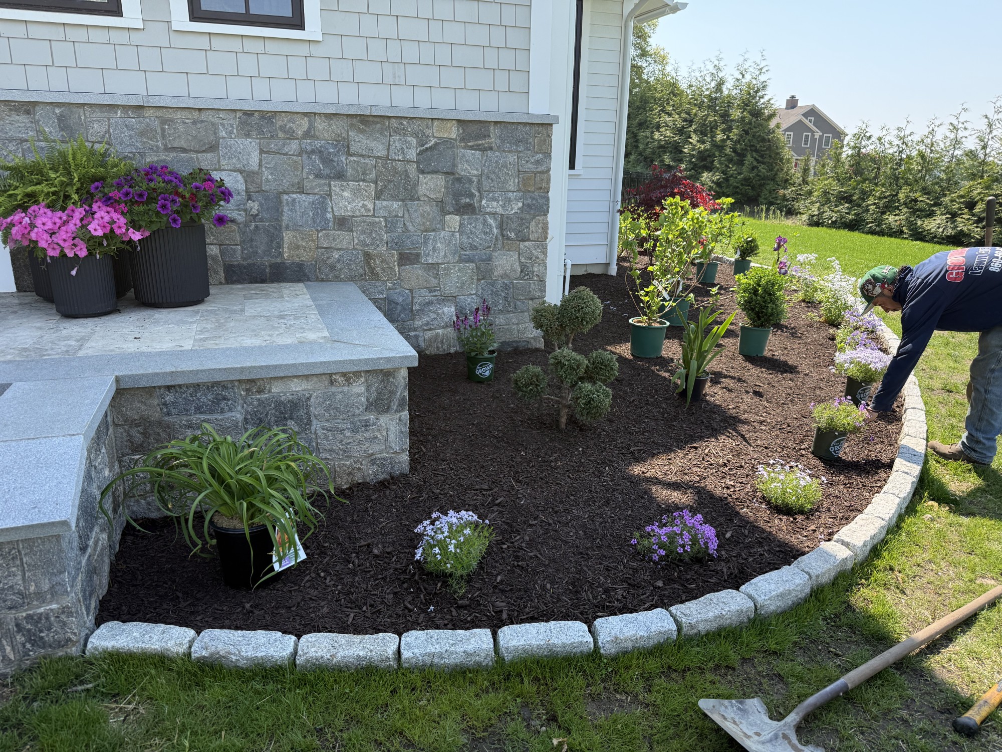 Freshly planted garden bed with new mulch