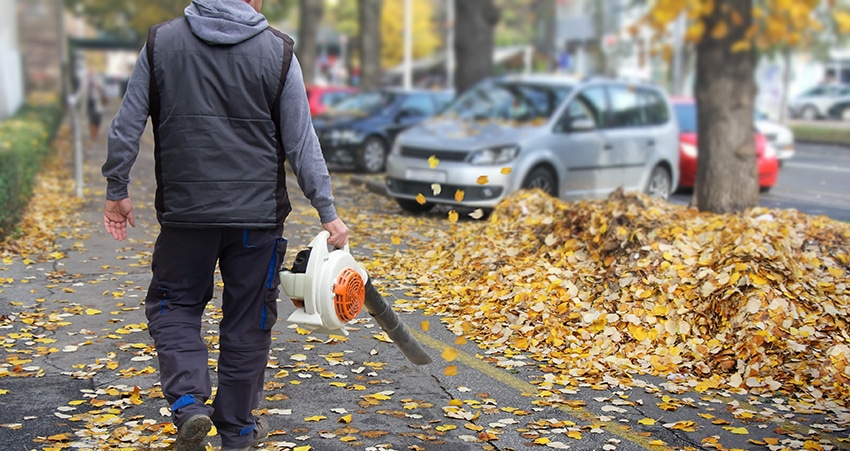 Seasonal leaf clearing and fall property cleanup